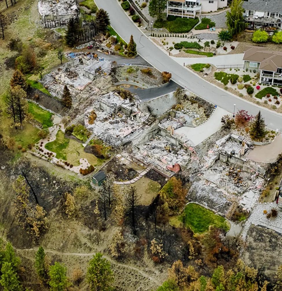 Les feux de forêt provoquent des désastres